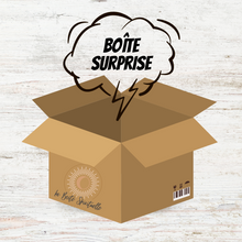 Load the image into the gallery, La Grosse Boîte Surprise
